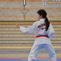 Takewondo 2-06-2013 (43)